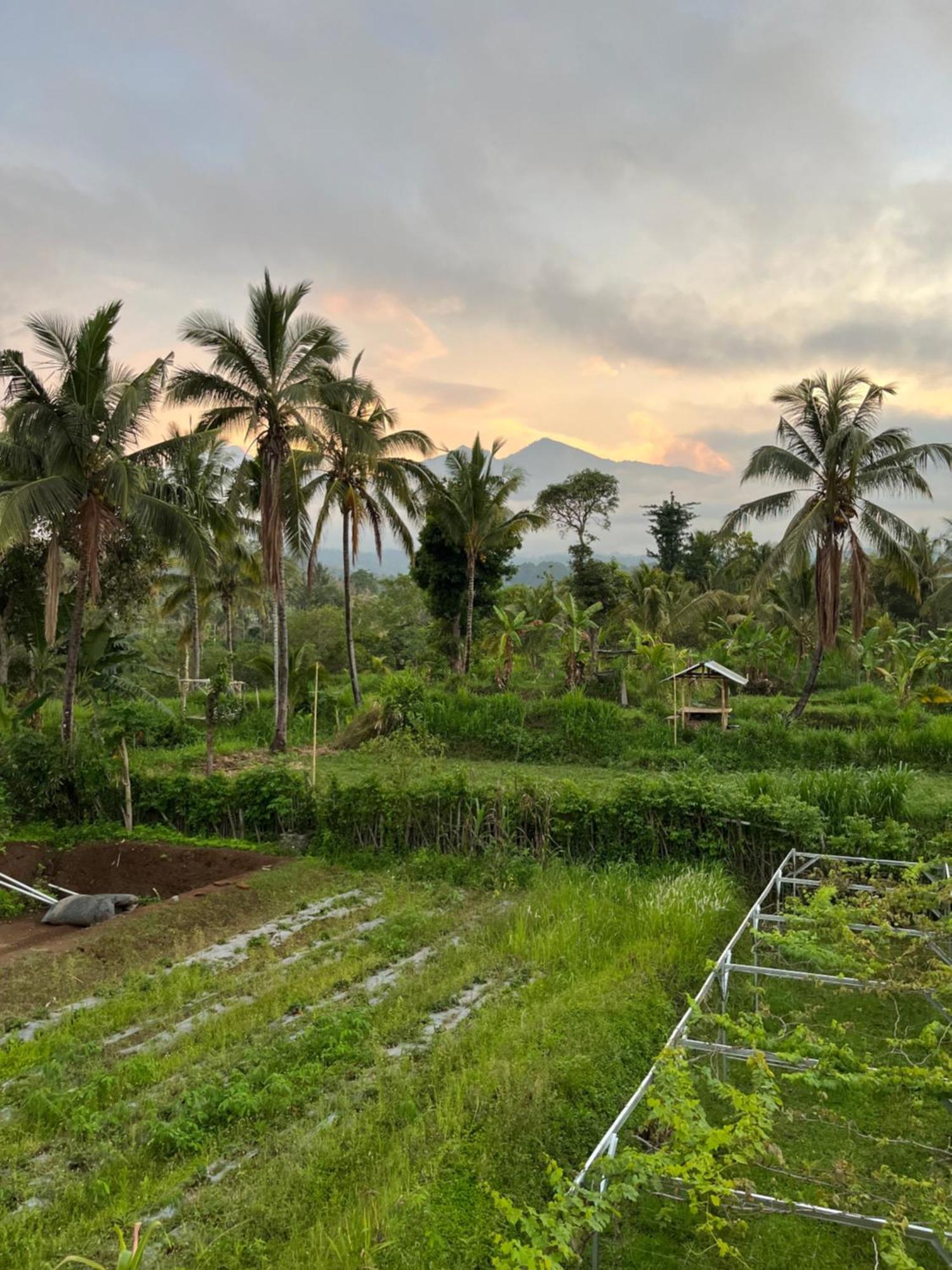 Rinjani Eco Villa Senaru Bayan Екстериор снимка
