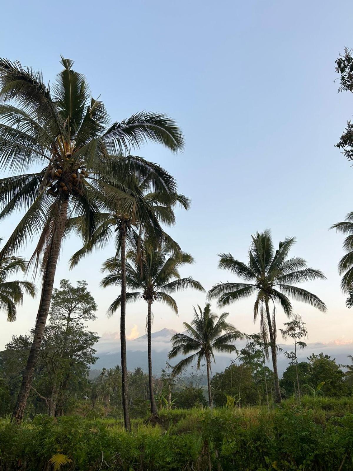 Rinjani Eco Villa Senaru Bayan Екстериор снимка