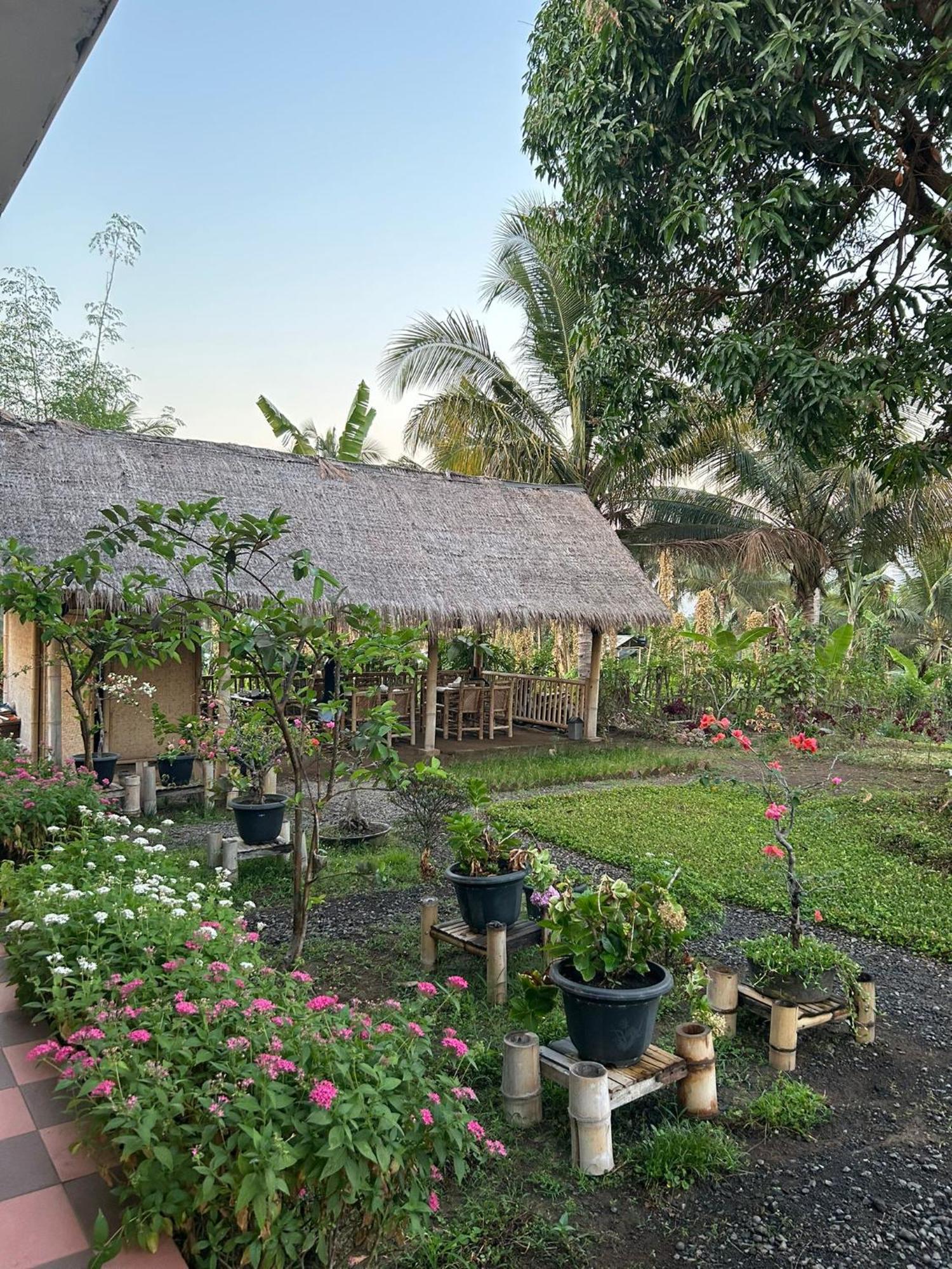 Rinjani Eco Villa Senaru Bayan Екстериор снимка